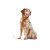ROYAL CANIN® Medium Adult 7+ 15kg